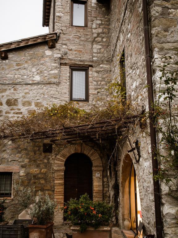 Torre Valbiancara Konuk evi Montebagnolo Dış mekan fotoğraf